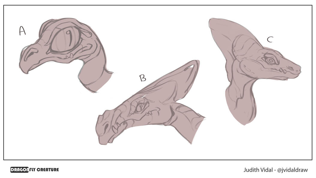 Heads concept research for dragonfly dragon creature.